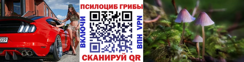 Купить  Иноземцево  Галлюциногенные грибы мицелий 